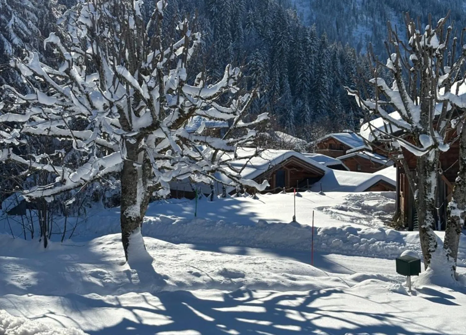 Chalet Familial Au Pied Des Pistes Et Commerces Cohennoz